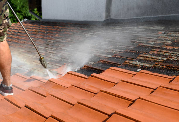 Best Affordable Pressure Washing  in Bunker Hl, IL