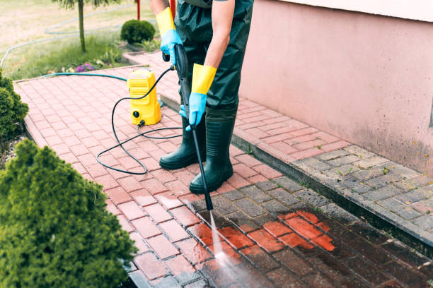 Best House Pressure Washing  in Bunker Hl, IL