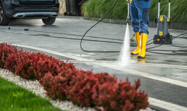 Best Local Pressure Washing Services  in Bunker Hl, IL